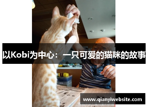 以Kobi为中心:一只可爱的猫咪的故事 以Kobi为中心:一只可爱的猫咪的故事