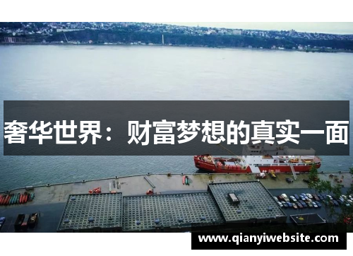 奢华世界：财富梦想的真实一面